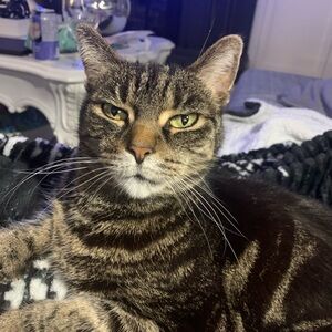 Meet your Posher, Luna